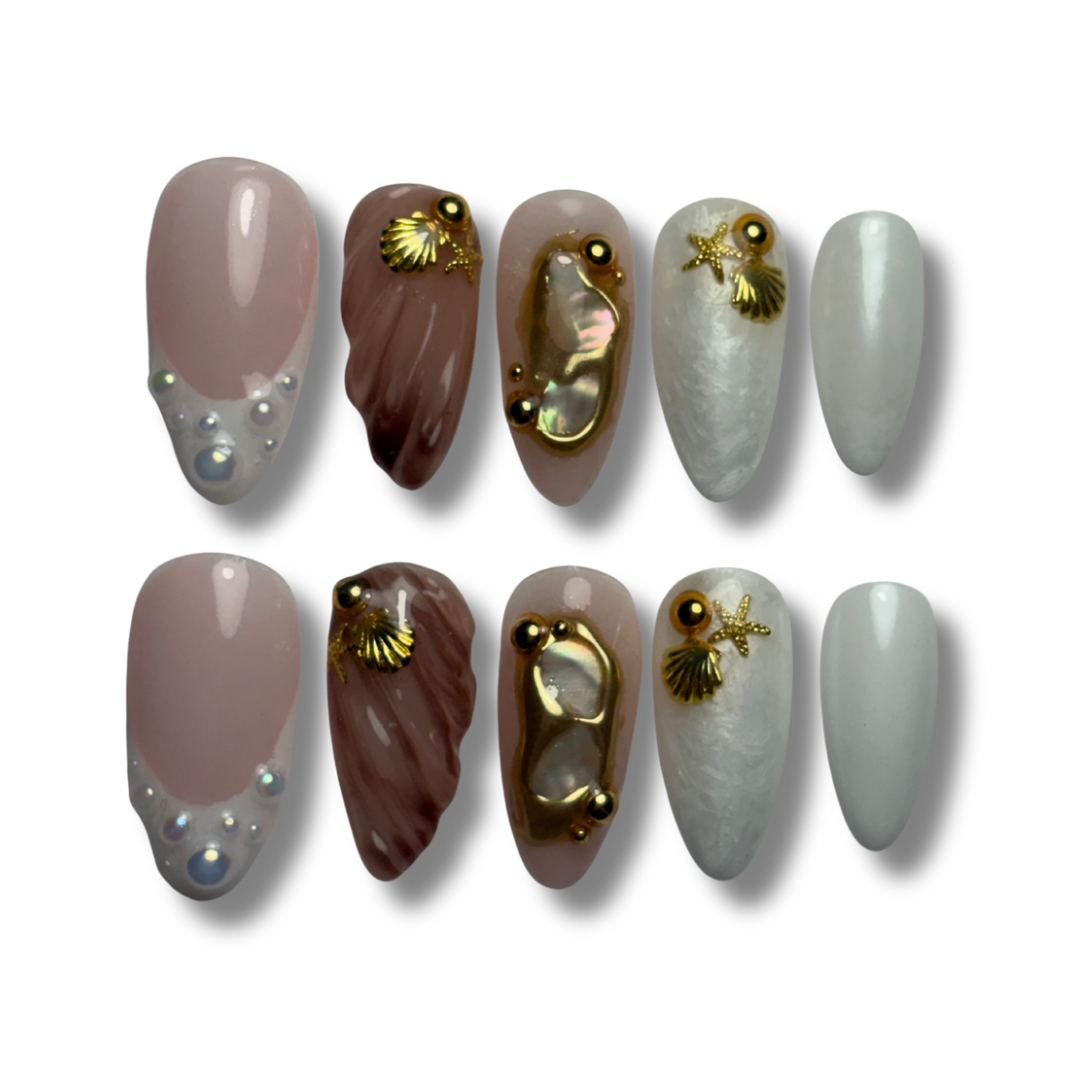 Shell Chic