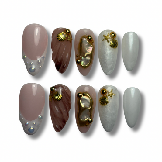 Shell Chic